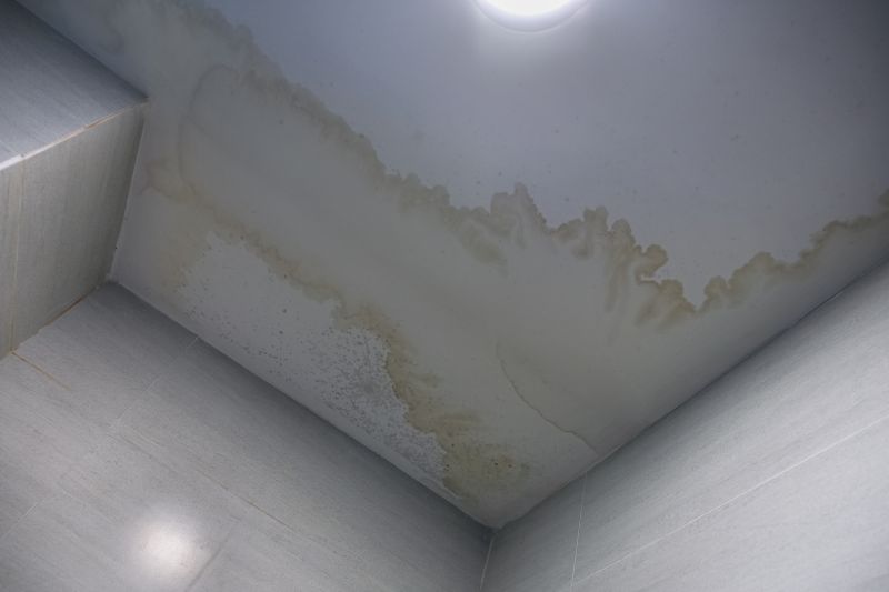 Ceiling Repair Service in Olathe, KS